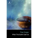 What This Earth Cost Us