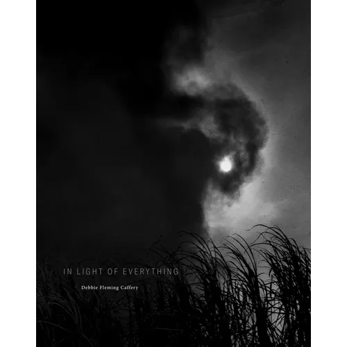 Debbie Fleming Caffery: In Light of Everything