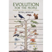 Evolution for the People