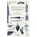 Fishing Lake and Stream - For Bass, Muskalonge, Pike, Pan Fishes, Salmon and Trout