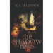 The Shadow Rises