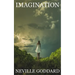 Imagination