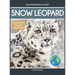 Snow Leopard