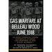 Gas Warfare At Belleau Wood, June 1918: CBRNPro.net Edition