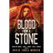 Blood from a Stone: A Time Travel Thriller