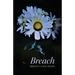 Breach