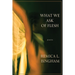 What We Ask of Flesh