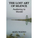 The Lost Art of Silence: Awakening to Wonder