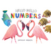 Hello Hello Numbers