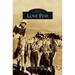 Lone Pine