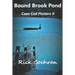 Bound Brook Pond: Cape Cod Mystery II