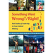 Something Went Wrong? / Right!: Real Studies of Leadership in Cross-Cultural Ministry