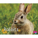 Rabbits