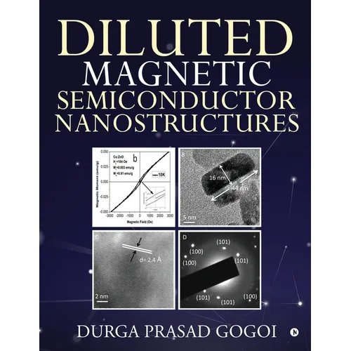 Diluted Magnetic Semiconductor Nanostructures - Paperback