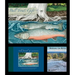 Explore the River Educational Project (2-Book, 1-DVD Set): Bull Trout, Tribal People, and the Jocko River [With DVD]