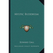Mystic Buddhism