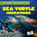Sea Turtle Migrations