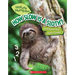 How Slow Is a Sloth?: Measure the Rainforest (Nature Numbers)
