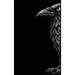 Valhalla: The Suppressed Thread