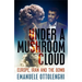 Under a Mushroom Cloud: Europe, Iran and the Bomb