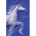 Horse of a Different Color