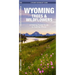 Wyoming Trees & Wildflowers: A Folding Pocket Guide to Familiar Plants