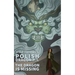 The Dragon is Missing (Polish Dragon P. I.)