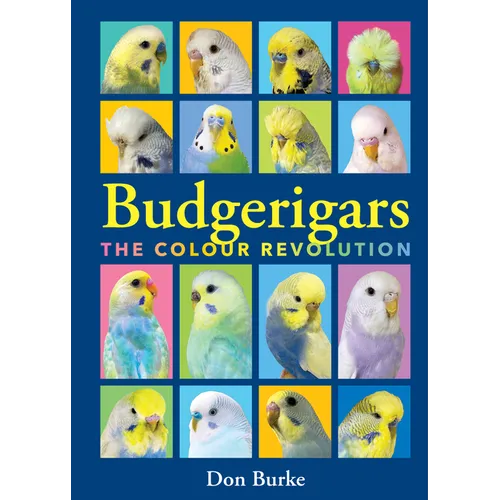 Budgerigars: The Color Revolution
