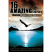 16 Amazing Stories of Divine Intervention