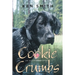Cookie Crumbs: An Autobidography