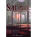 Spillway