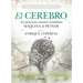 Cerebro, El