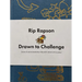 Drawn to Challenge: Stories of Creative Leadership in the Public Interest (with Doodles)