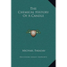 The Chemical History of a Candle