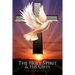 The Holy Spirit and His Gifts
