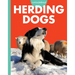 Curious about Herding Dogs