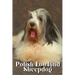 Polish Lowland Sheepdog: Dog breed overview and guide