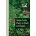 Native Florida Plants for Shady Landscapes
