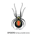 Spiders: The Play