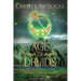 Age of Druids: A Dark Irish Historical Fantasy