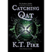 Catching Qat: A Found Family Epic Fantasy Adventure for TTRPG Fans