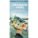 Freshwater Fishes: An Introduction to Familiar North American Species