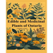 Edible and Medicinal Plants of Ontario: Newbie to Expert to Identify Wild Edibles of Ontario