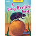 A Dung Beetle's Day