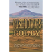 Cashdown's Folly