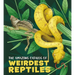 The Amazing Catalog of Weirdest Reptiles