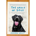 The Grace of Dogs: A Boy, a Black Lab, and a Father's Search for the Canine Soul