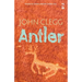 Antler