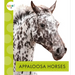 Appaloosa Horses