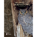 The Great Horned Owl: An In-Depth Study